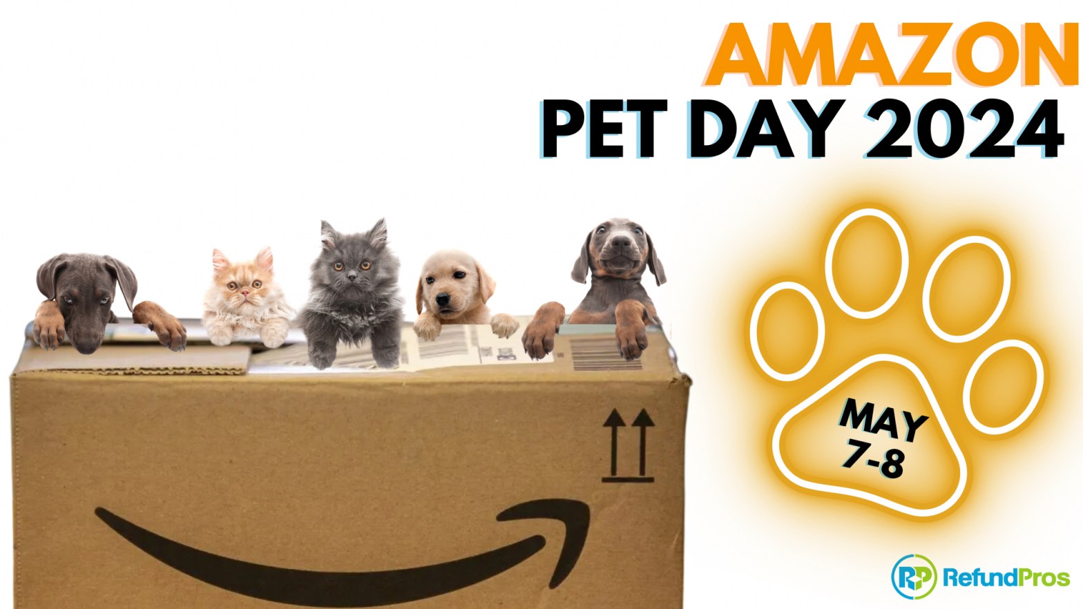 Puppies and kittens with an Amazon box.